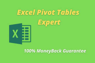 be your excel pivot tables expert