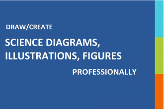 draw educational, science diagrams and illustrations for you