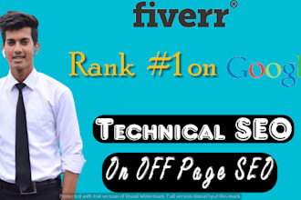 provide wordpress website SEO services to rank your website