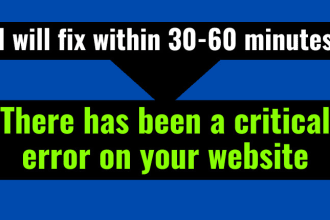 solve wordpress error like there has been a critical error on this website
