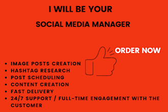 be your social media manager and organic content creator
