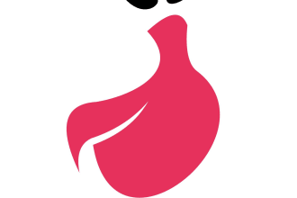 design super wonderful beauty logo with source file