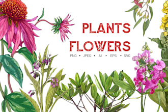 draw botanical illustrations of flowers, plants, fruits