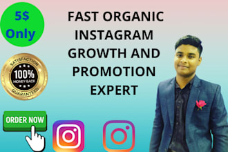 do fast organic instagram growth and promotion