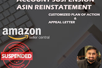 strategically designed plan for amazon account reinstatement