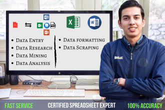 do data analysis, data entry, data sorting and web research