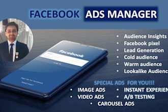 do facebook advertising with fb ads campaign