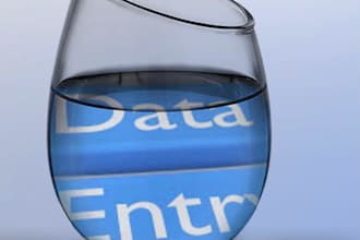 excel data entry for you