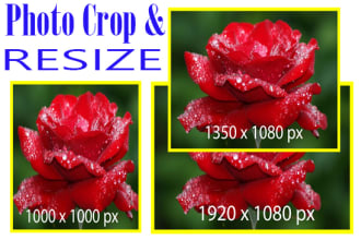 remove background, crop, resize, cut out images in 2 hrs
