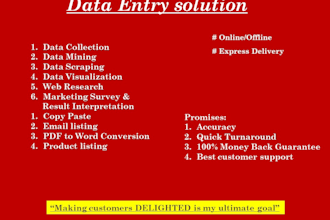 be your data entry assistant, low price but express delivery