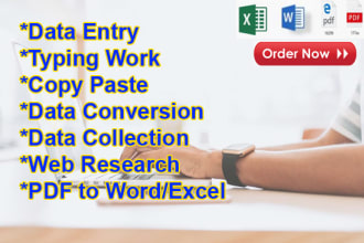 do data entry, web research, excel data entry, pdf to word, data collection