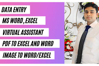 do any type of data entry work in ms excel,word,power point
