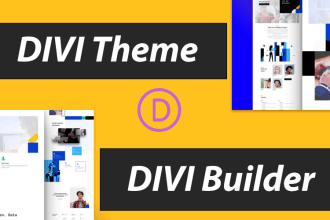 be your developer for wordpress divi theme or divi builder