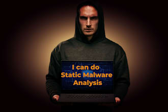 perform static and dynamic malware analysis