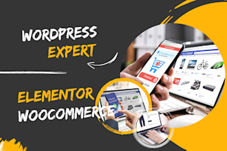 develop a reliable professional responsive ecommerce wordpress website design