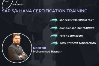 train you in sap financial accounting and  system training