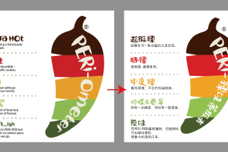 translate english to chinese with professional writing