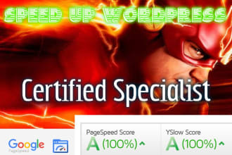 speed up performance wordpress 24 hours no premium plugins