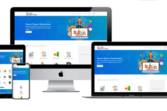 develop SEO tools website for business