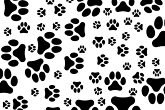draw an interesting and unique pattern