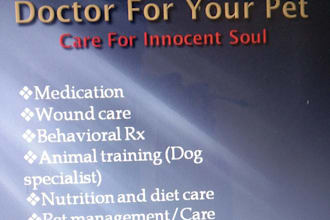 do medical care of your pet and dog