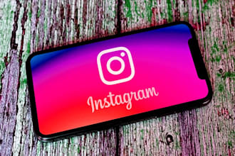 instagram marketing and commenter for organic growth