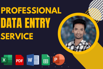 do perfect copy paste job, internet research and data entry