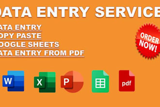 fastest excel data entry, data entry typing work