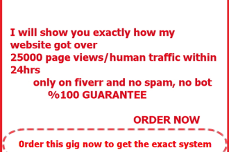 show you how to get 25000 targeted real traffic to your WEBSITE within 24hrs