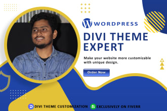 be your expert for divi theme customization