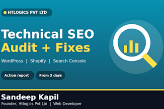 audit and fix technical SEO issues on your wordpress or shopify website
