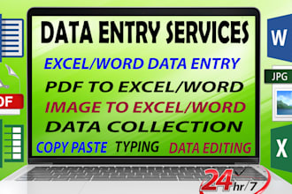 convert pdf to word, pdf to excel and do data entry typing