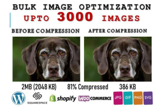 compress images, optimization for wordpress, squarespace shopify ecommerce sites