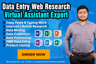 do data entry, web research,  CRM and google sheet data entry