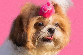 paint a realistic pet portrait painting of your dog or cat