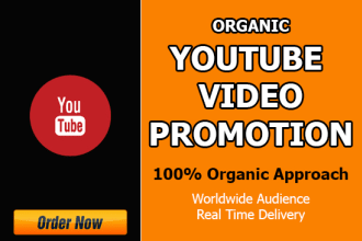 provide organic youtube video promotion