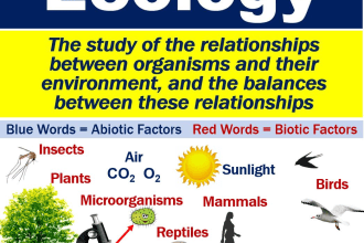 offer quality ecology task