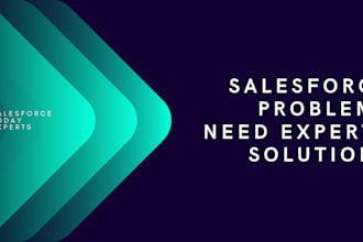 be your dedicated salesforce developer