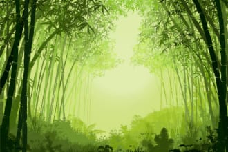 draw flat scenery landscape illustration