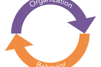help you with organizational behavior work