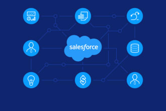 be your salesforce developer