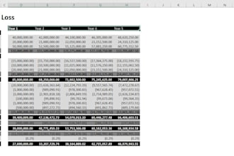 build an investor ready financial model for your startup