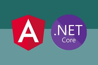 develop and bug fix asp net core and mvc and asp net web app