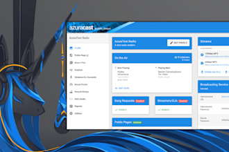 setup azuracast panel online radio server for you