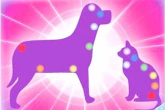 clear stuck emotions from your pet