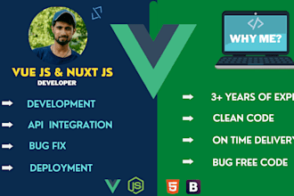 be your vue js developer