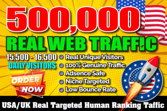 send 500,000 USA UK targeted real organic web traffic