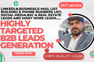 do b2b lead generation and targeted email list building