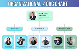 do modern org chart, flow chart, diagrams and infographics