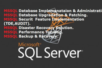 do oracle,mssql database administration,dba support service
